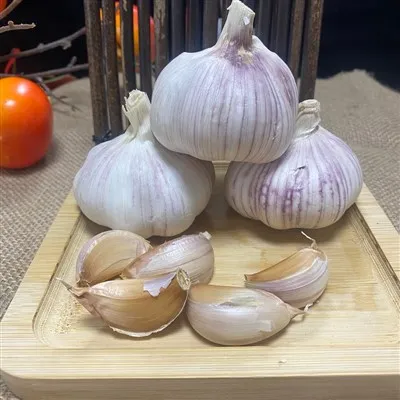 মাল্টি-লবঙ্গ বেগুনি-চর্মযুক্ত রসুন